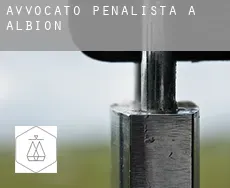 Avvocato penalista a Albion