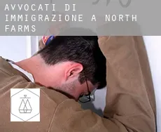 Avvocati di immigrazione a North Farms