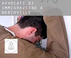 Avvocati di immigrazione a  Northville