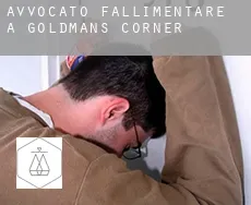 Avvocato fallimentare a Goldmans Corner
