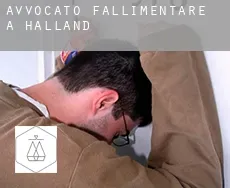 Avvocato fallimentare a  Halland