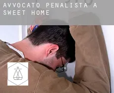 Avvocato penalista a Sweet Home