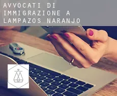 Avvocati di immigrazione a Lampazos de Naranjo