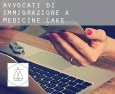 Avvocati di immigrazione a Medicine Lake