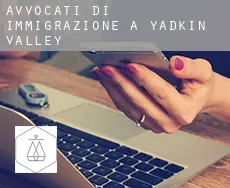 Avvocati di immigrazione a Yadkin Valley