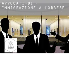 Avvocati di immigrazione a  Lobbese