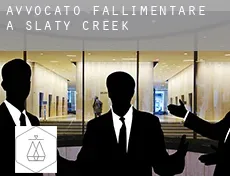 Avvocato fallimentare a Slaty Creek