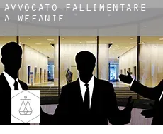 Avvocato fallimentare a Wefanie