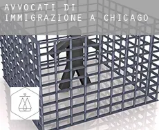 Avvocati di immigrazione a  Chicago