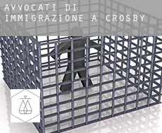 Avvocati di immigrazione a  Crosby