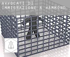 Avvocati di immigrazione a Hammond