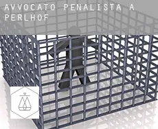 Avvocato penalista a  Perlhof