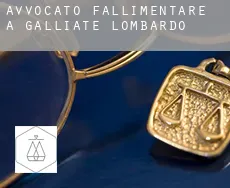 Avvocato fallimentare a Galliate Lombardo