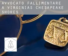 Avvocato fallimentare a Virginias Chesapeake Shores