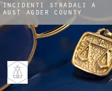 Incidenti stradali a  Aust-Agder county