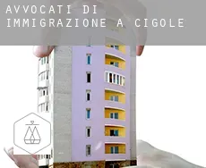 Avvocati di immigrazione a Cigole