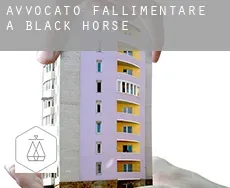 Avvocato fallimentare a  Black Horse