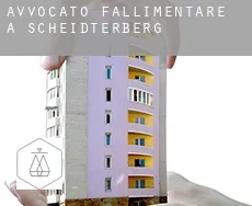 Avvocato fallimentare a  Scheidterberg