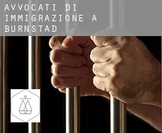 Avvocati di immigrazione a Burnstad