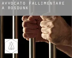 Avvocato fallimentare a  Rosdunk