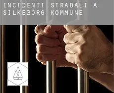 Incidenti stradali a  Silkeborg Kommune