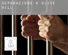 Separazione a Olive Hill