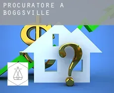 Procuratore a Boggsville