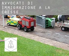 Avvocati di immigrazione a La Cresse