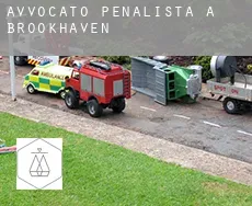 Avvocato penalista a  Brookhaven