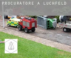 Procuratore a  Lüchfeld