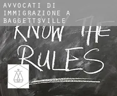 Avvocati di immigrazione a  Baggettsville