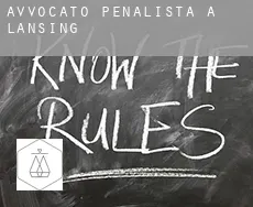 Avvocato penalista a Lansing