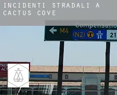 Incidenti stradali a Cactus Cove