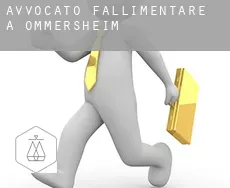 Avvocato fallimentare a  Ommersheim