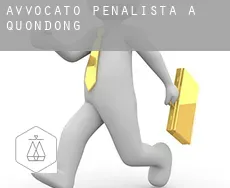 Avvocato penalista a Quondong