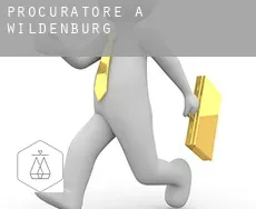 Procuratore a  Wildenburg