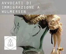 Avvocati di immigrazione a Wülmersen