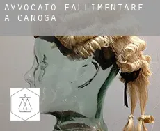 Avvocato fallimentare a Canoga