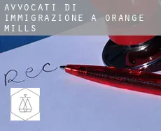 Avvocati di immigrazione a Orange Mills