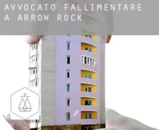 Avvocato fallimentare a Arrow Rock