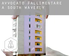 Avvocato fallimentare a South Waverly
