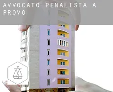 Avvocato penalista a Provo