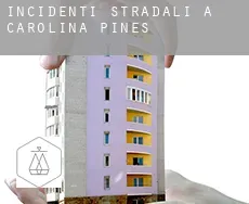 Incidenti stradali a Carolina Pines