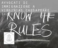 Avvocati di immigrazione a Virginias Chesapeake Shores