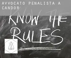 Avvocato penalista a Candor