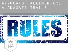 Avvocato fallimentare a  Anasazi Trails
