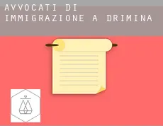 Avvocati di immigrazione a Drimina