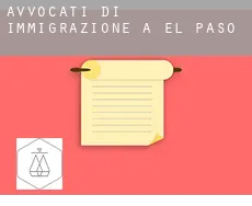 Avvocati di immigrazione a  El Paso