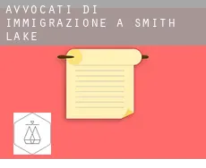 Avvocati di immigrazione a Smith Lake