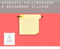 Avvocato fallimentare a Broadmoor Village